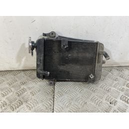 Radiatore Honda SH 300 Dal 2011 al 2013  1749221671055