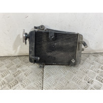 Radiatore Honda SH 300 Dal 2011 al 2013  1749221671055