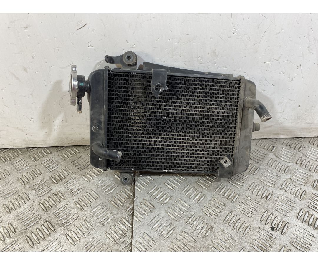 Radiatore Honda SH 300 Dal 2011 al 2013  1749221671055