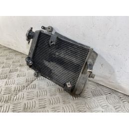Radiatore Honda SH 300 Dal 2011 al 2013  1749221671055