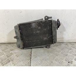 Radiatore Honda SH 300 Dal 2011 al 2013  1749221671055