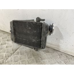 Radiatore Honda SH 300 Dal 2011 al 2013  1749221671055