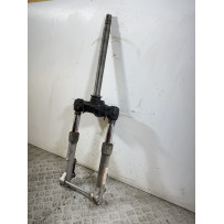 Forcella Aprilia Scarabeo 300 Special Dal 2009 al 2013  1749797716051