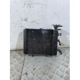 Radiatore Aprilia Scarabeo Light 200 dal 2007 al 2013  1750071455597