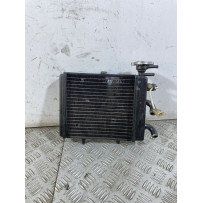 Radiatore Aprilia Scarabeo Light 200 dal 2007 al 2013  1750071455597