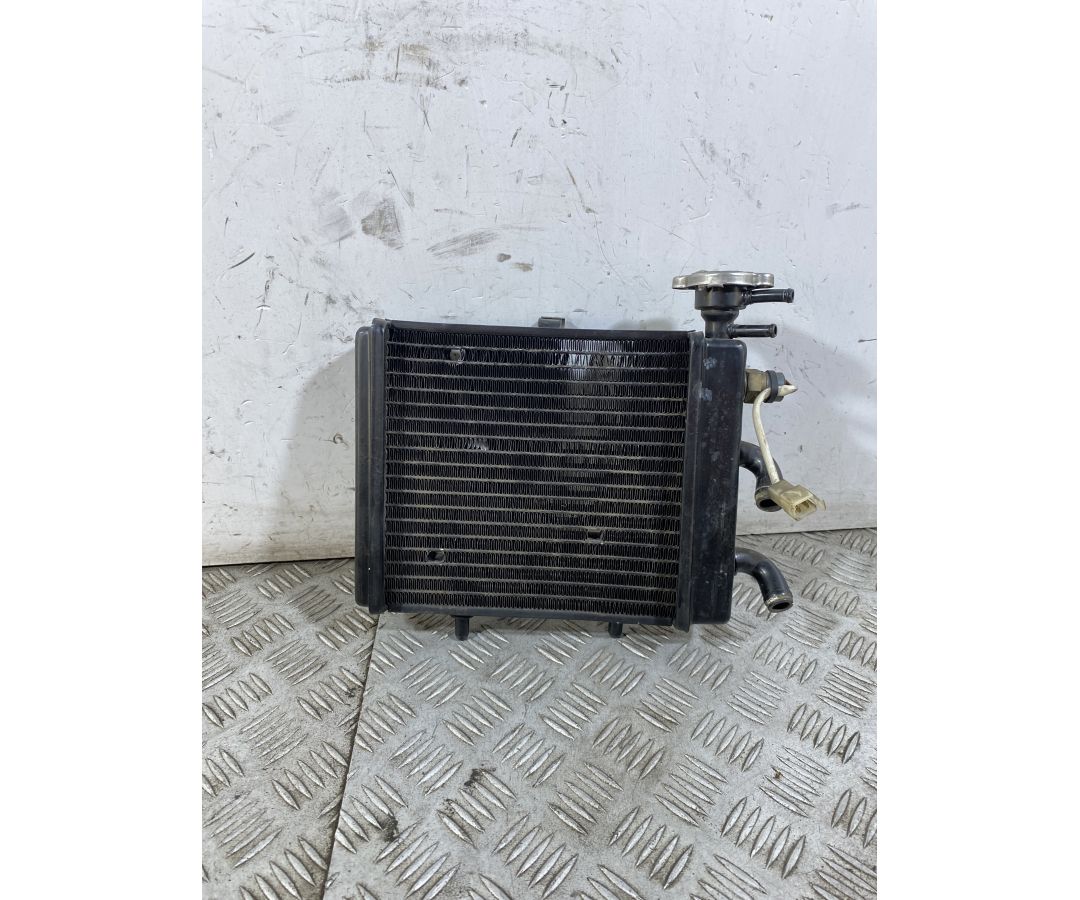 Radiatore Aprilia Scarabeo Light 200 dal 2007 al 2013  1750071455597