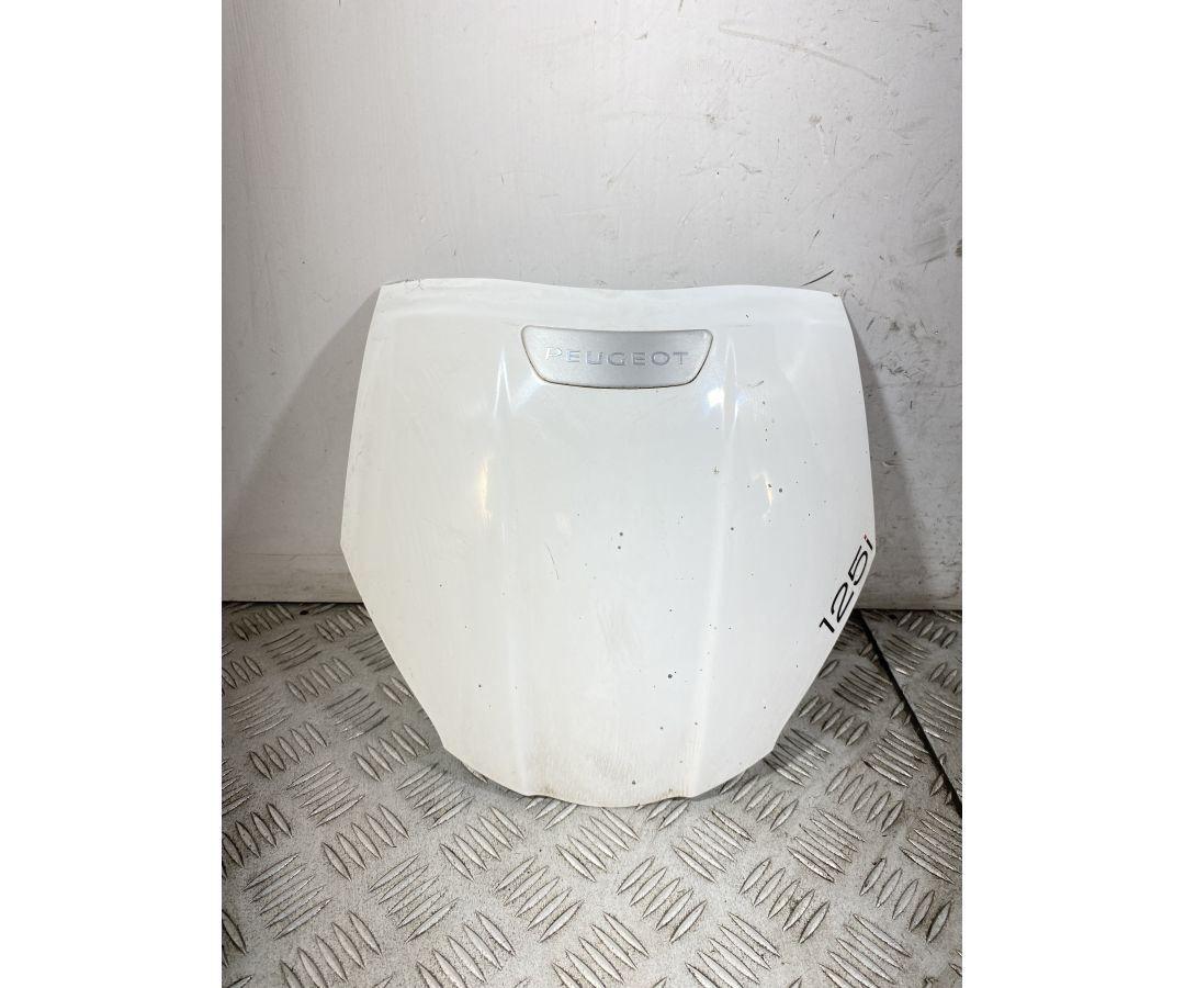 Carena Scudetto Anteriore Peugeot Tweet 125 dal 2017 al 2020  1750081809489