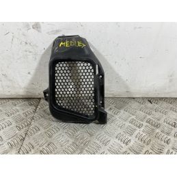 Carena Giglia Radiatore Piaggio Medley 125 Del 2020  1750155475855