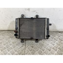 Radiatore Sym Joymax 300 Dal 2012 al 2018  1750258773759