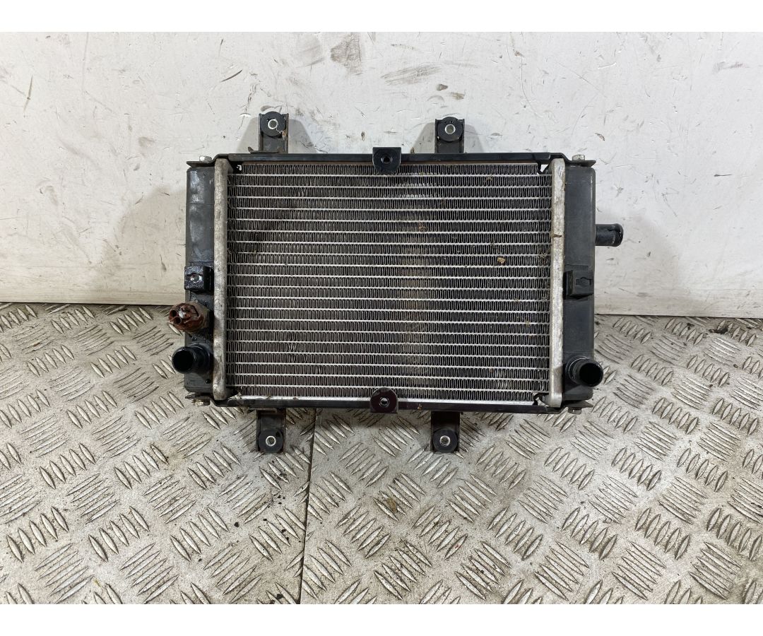 Radiatore Sym Joymax 300 Dal 2012 al 2018  1750258773759