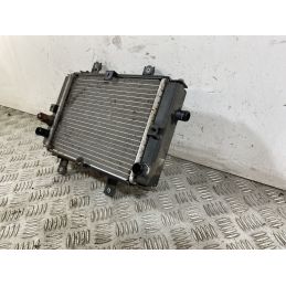 Radiatore Sym Joymax 300 Dal 2012 al 2018  1750258773759