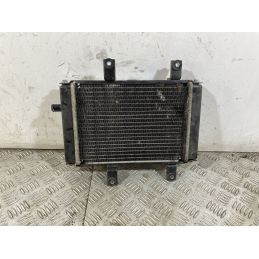 Radiatore Sym Joymax 300 Dal 2012 al 2018  1750258773759