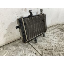 Radiatore Sym Joymax 300 Dal 2012 al 2018  1750258773759