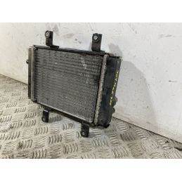Radiatore Sym Joymax 300 Dal 2012 al 2018  1750258773759