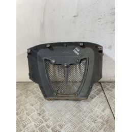 Carena Scudetto Anteriore Aprilia Scarabeo Light 125 / 200 dal 2007 al 2013  1750319669502