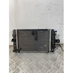 Radiatore Adiva AD 3 300 Del 2020  1750340960838