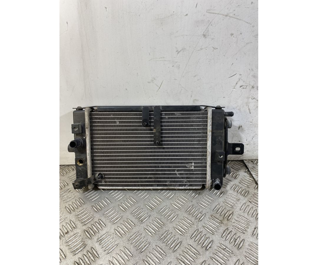 Radiatore Adiva AD 3 300 Del 2020  1750340960838