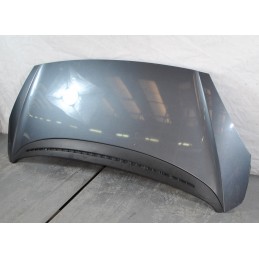 Cofano anteriore Peugeot 1007 Dal 2005 al 2010  Cod 7901Q5  1622559045791