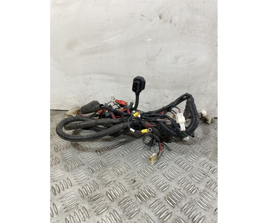 Cablaggio Impianto Elettrico Niu NQI GTS Dal 2020 al 2024  1751009984158