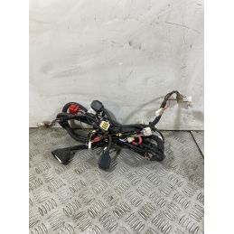 Cablaggio Impianto Elettrico Niu NQI GTS Dal 2020 al 2024  1751009984158