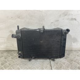 Radiatore Suzuki GSR 600 dal 2006 al 2011  1751012514014