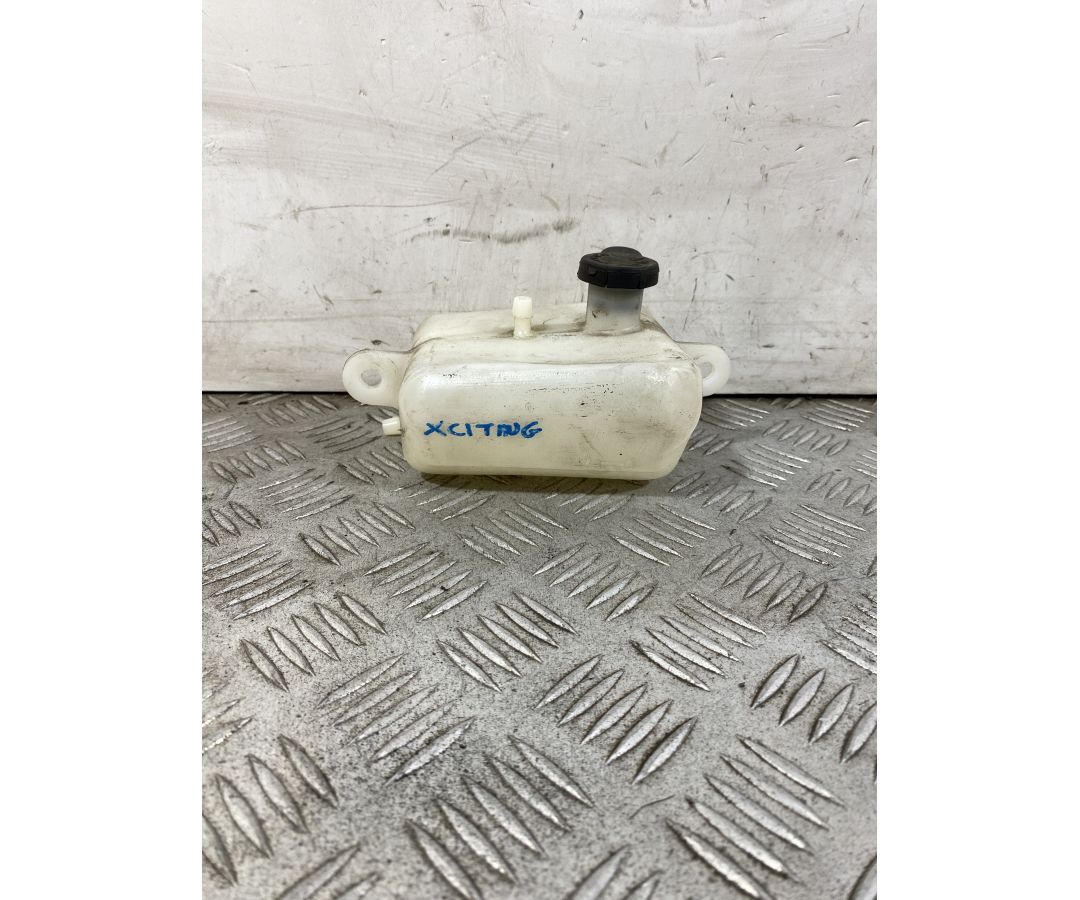 Vaschetta Acqua Kymco Xciting 300 R dal 2007 al 2014  1751016373082