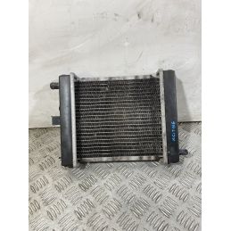 Radiatore Kymco Xciting 300 R dal 2007 al 2014  1751016729070