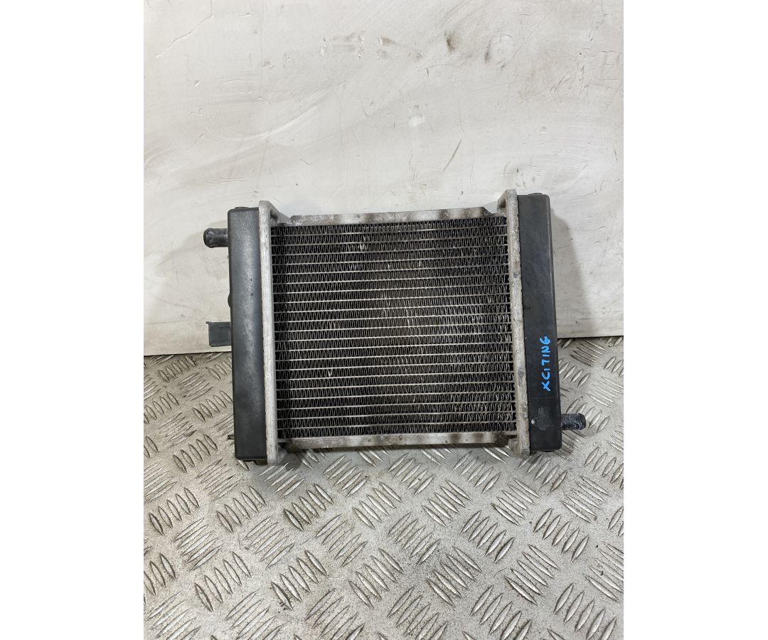 Radiatore Kymco Xciting 300 R dal 2007 al 2014  1751016729070
