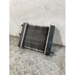 Radiatore Kymco Xciting 300 R dal 2007 al 2014  1751016729070