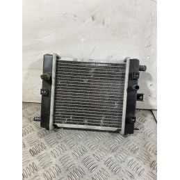 Radiatore Kymco Xciting 300 R dal 2007 al 2014  1751016729070
