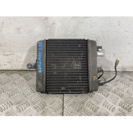 Radiatore Suzuki Burgman 200 dal 2001 al 2014  1751295583462