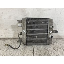 Radiatore Suzuki Burgman 200 dal 2001 al 2014  1751295583462