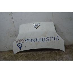 Cofano Anteriore Citroen Nemo Dal 2008 al 2013 Cod 7901Q1  1751355386637