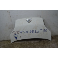 Cofano Anteriore Citroen Nemo Dal 2008 al 2013 Cod 7901Q1  1751355386637