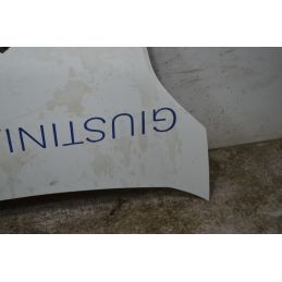 Cofano Anteriore Citroen Nemo Dal 2008 al 2013 Cod 7901Q1  1751355386637