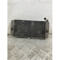 Radiatore Yamaha X-Max XMax 250 Dal 2010 al 2013  1751363442042