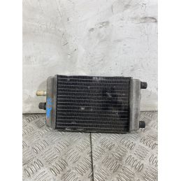 Radiatore Yamaha XC 300 Dal 2003 al 2006  1751383375207