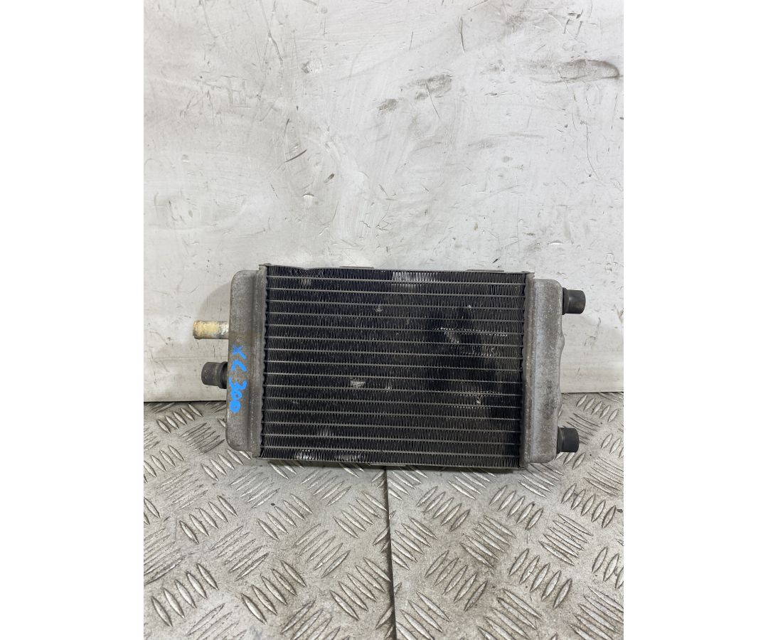 Radiatore Yamaha XC 300 Dal 2003 al 2006  1751383375207