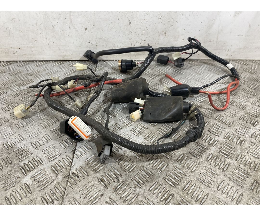 Cablaggio Impianto Elettrico Lifan E3 Plus Dal 2021 al 2025  1751884333850