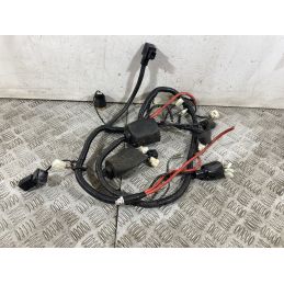 Cablaggio Impianto Elettrico Lifan E3 Plus Dal 2021 al 2025  1751884333850