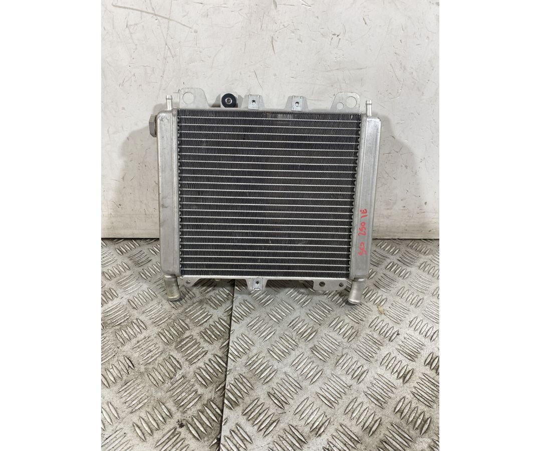 Radiatore Aprilia Scarabeo 250 dal 2006 al 2012  1752068439436