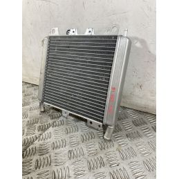 Radiatore Aprilia Scarabeo 250 dal 2006 al 2012  1752068439436