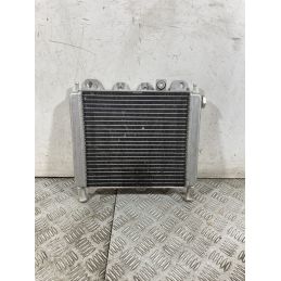 Radiatore Aprilia Scarabeo 250 dal 2006 al 2012  1752068439436