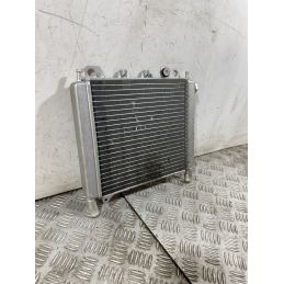 Radiatore Aprilia Scarabeo 250 dal 2006 al 2012  1752068439436