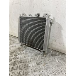 Radiatore Aprilia Scarabeo 250 dal 2006 al 2012  1752068439436