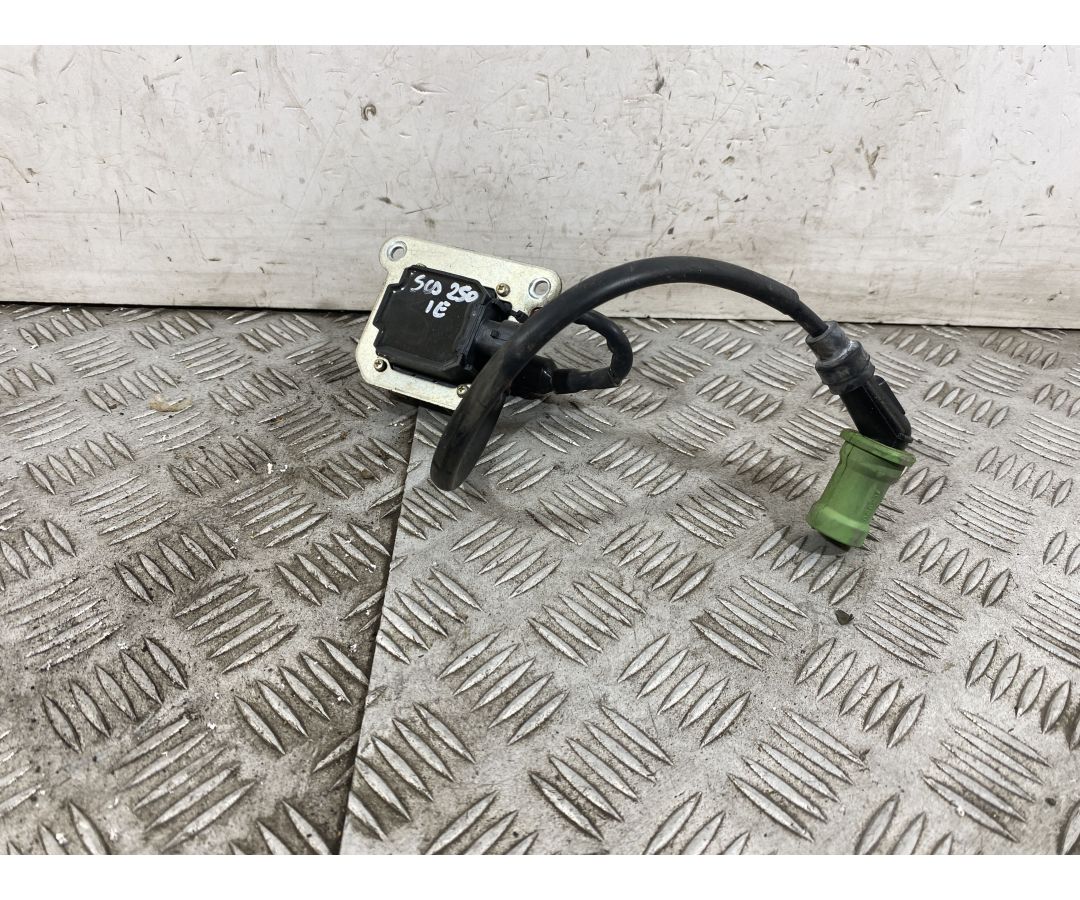 Bobina Centralina Accensione Aprilia Scarabeo 250 dal 2006 al 2012  1752073217173