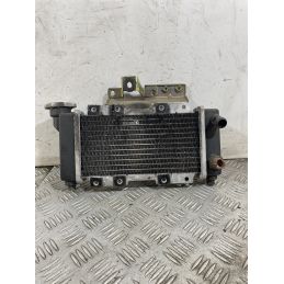 Radiatore SYM HD2 200 Dal 2010 Al 2017  1752139476704