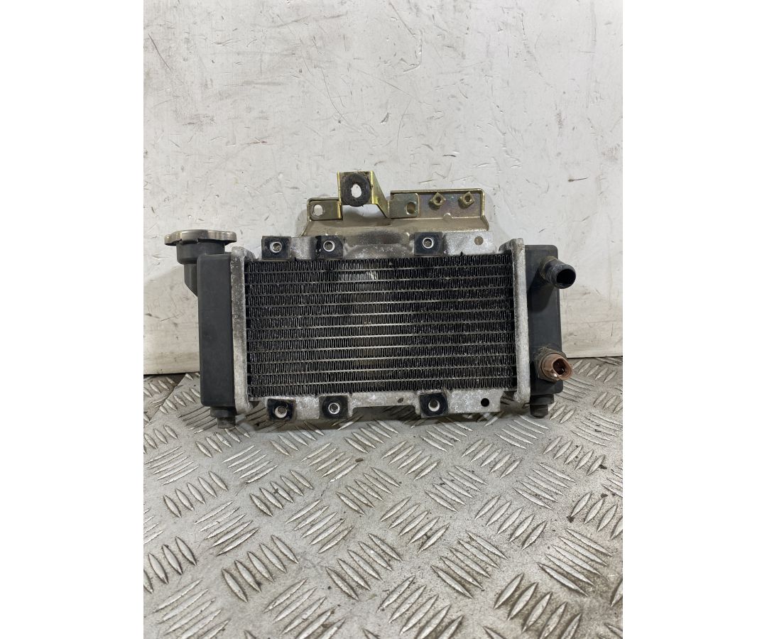 Radiatore SYM HD2 200 Dal 2010 Al 2017  1752139476704