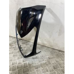 Carena Scudetto Portafaro Anteriore Kymco Agility R16 200 dal 2008 Al 2017  1752152318944