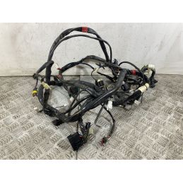 Cablaggio Impianto Elettrico Aprilia Scarabeo 500 dal 2007 al 2012  1752486862748